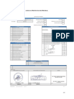 Protocolos de prueba.pdf