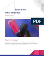 Boletín Informativo PDF