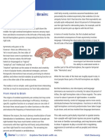 Fact Sheet Left Right Brain Baw 2020 PDF