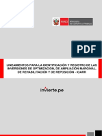 Lineamientos_IOARR.pdf