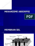 Pertemuan Ke 4 Mekanisme Absorpsi