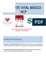 Taller de RCP PDF