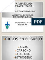 Ciclos PDF