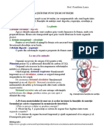 Relații Între Funcțiile de Nutriție