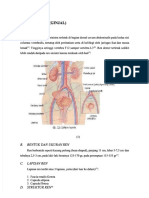 (PDF) Anatomi Ren - Compress