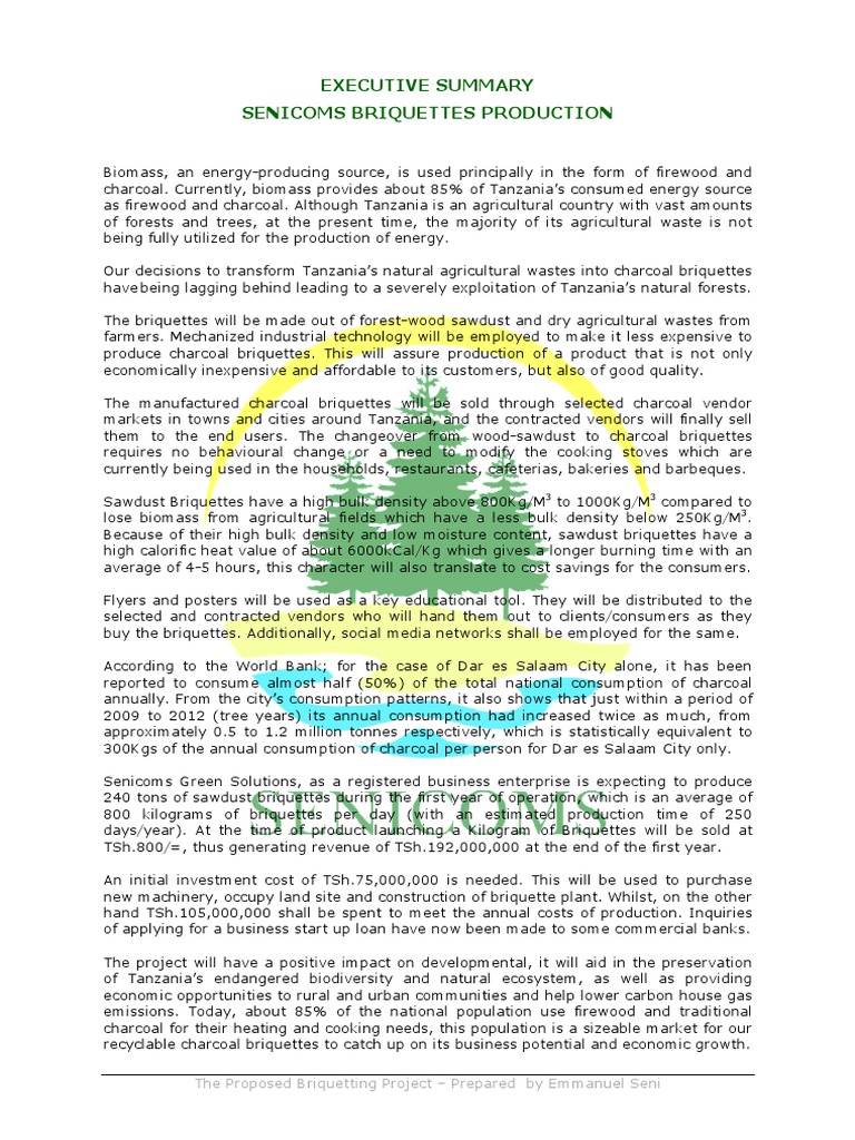 Sustainable Charcoal Briquettes Production Executive Summary PDF