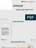 11f895 - 1 PDF