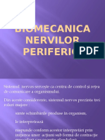 Biomecanica Functionala A Nervilor