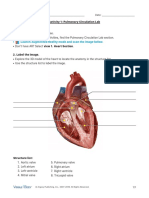 Pulmonary Lab Activity PDF