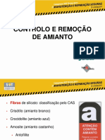 _Anexo_634560151535650000Controlo e Remoção de Amianto – Ana João.pdf