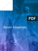 Boomi Essentials Guide V11.pdf