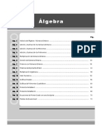 Algebra 1° Año de SEC PDF