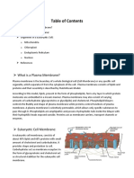 Comparison of Cell Plasma Membrane Structure and Membrane Structure of Organelles Within A Typical Eukaryotic Cell