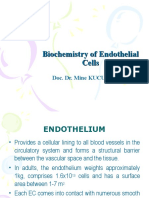 Biochemistry of Endothelial Cells-1