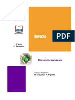 Recursos Naturales - Pigretti PDF