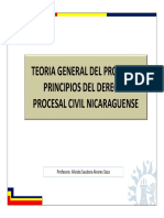 Teoria General Del Proceso y Principios