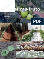 1585341599hortalicas Fruto