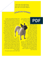 Emily Petit Chien Projet PDF