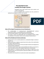 Secondary Messenger System