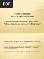 Trunchiul-cerebral-structură-si-funcționare