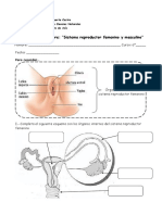 Guía-de-estudio-sistemas-reproductores-6º-ok-1.pdf