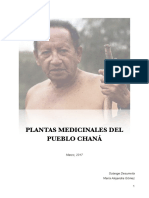 Plantas-medicinales-del-pueblo-Chaná.pdf