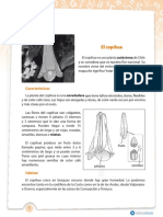 articles-25973_recurso_pdf.pdf