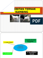 PEMBIBITAN KAMBING