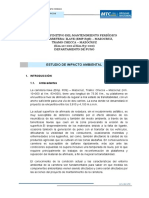 Informe Nº02 Impacto Ambiental Checca - Mazocruz