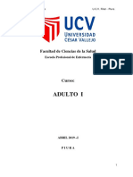 Promocion de La Salud en El Adulto y Teorias PDF