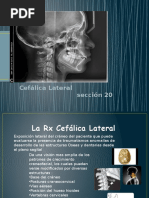 Análisis Facial en Ortodoncia y Estética | PDF | Cara | Ortodoncia