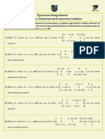 Ejercicios Integradores_Matrices y Sistemas de Ecuaciones Lineales.pdf