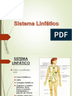Sistema Linfatico PDF