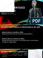 15 Sistema Nervoso Periférico PDF