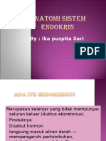 Anatomi Sistem Endokrin Good