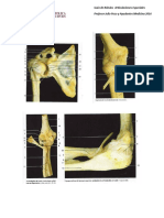 Rotulos Ligamentos Articulaciones Especiales