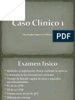 Caso Clinico 1 C FIGUEROA INTERNADO 2015