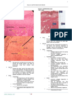 1-CELL-AS-A-UNIT-OF-HEALTH-AND-DISEASE.pdf