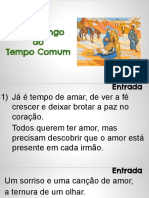 15º Domingo Tempo Comum - Ano C