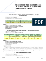 18-Requerimientos Bovinos Carne PDF