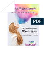 Qué Son Las Placas Energeticas FOLLETO TESLAVITALIS COLOR PDF