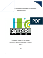 Practica Profesional, Informe Especialidad Quirurgica y Anestesica PDF