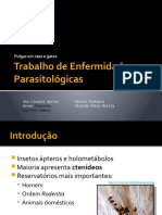 trabalho de enfermidades parasitolgicas