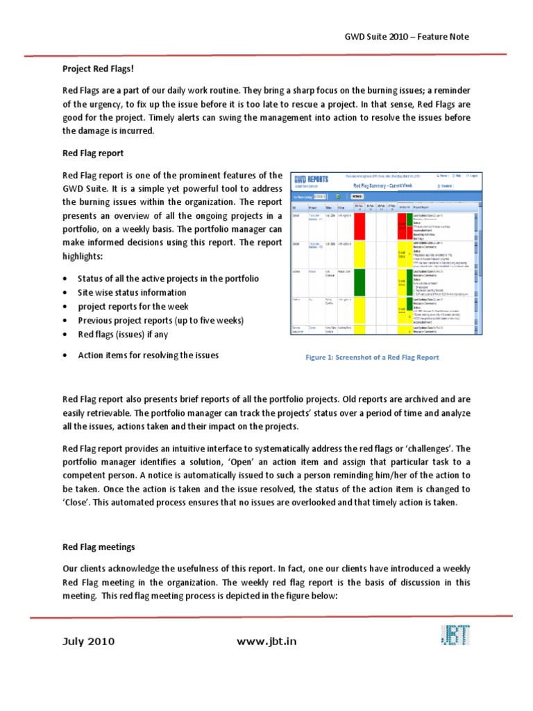 Red Flag Report PDF Computing Information Technology