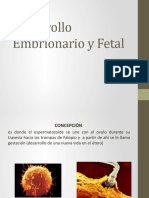 Desarrollo Embrionario y Fetal