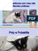 Um relato de caso sobre o tratamento homeopático bem-sucedido de excesso de prolactina e tumor na mama de uma cadela com Pulsatilla nigricans