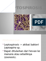 Tugas Patologi Leptospirosis