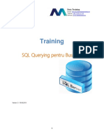 Training SQL Querying Pentru Business
