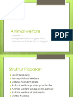 Animal Welfare