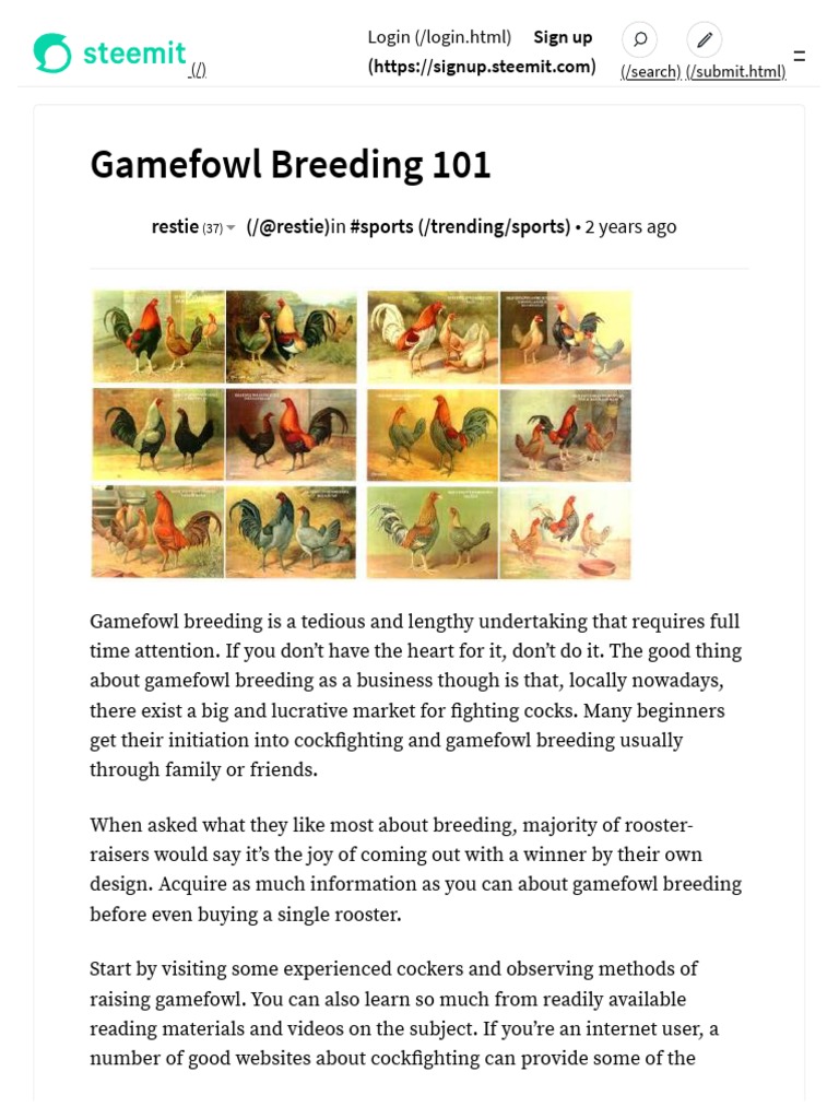 Gamefowl Breeding 101 Steemit PDF Download Free PDF Selective